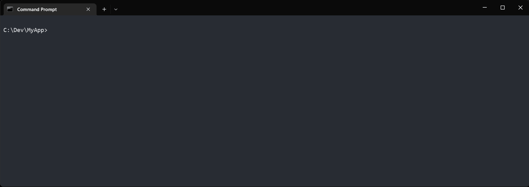 Demo Video Executing Run Command